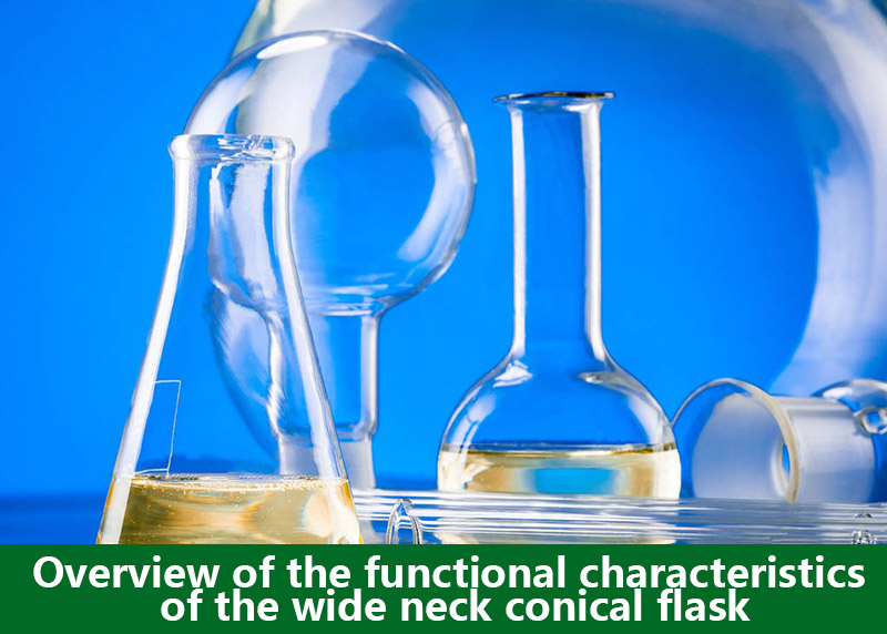 Overview of the functional characteristics of the wide neck conical flask