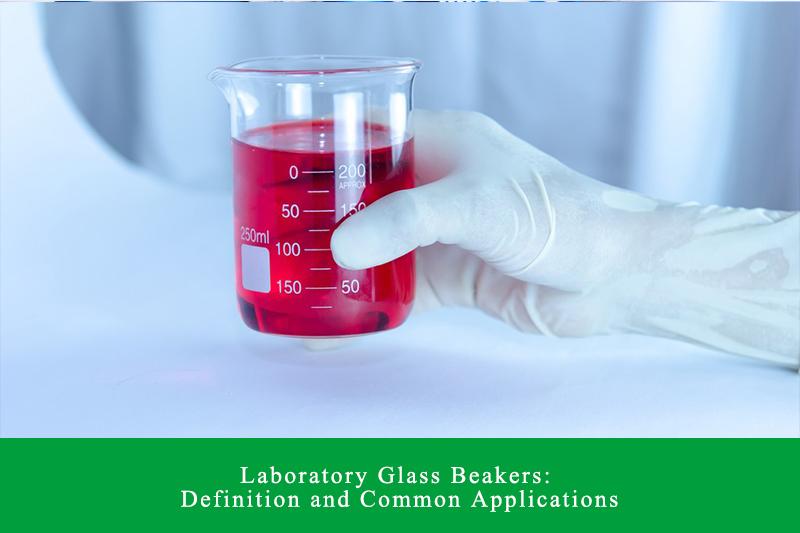 Laboratory Glass Beakers: Definition and Common Applications